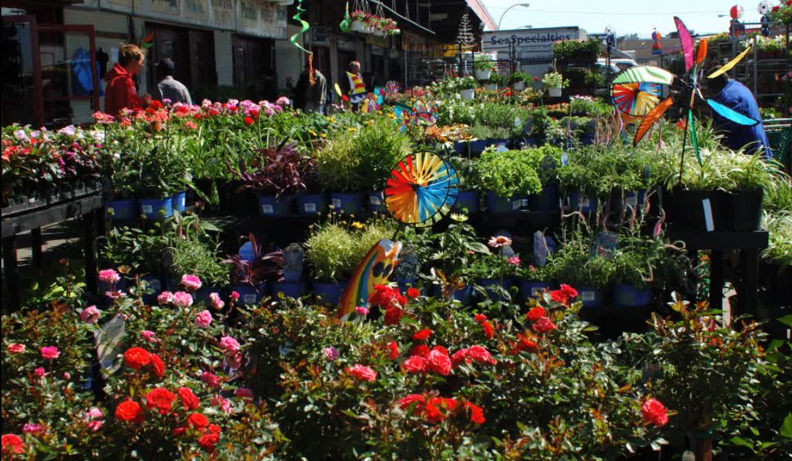 Plant center at Brooklyn Terminal Market.